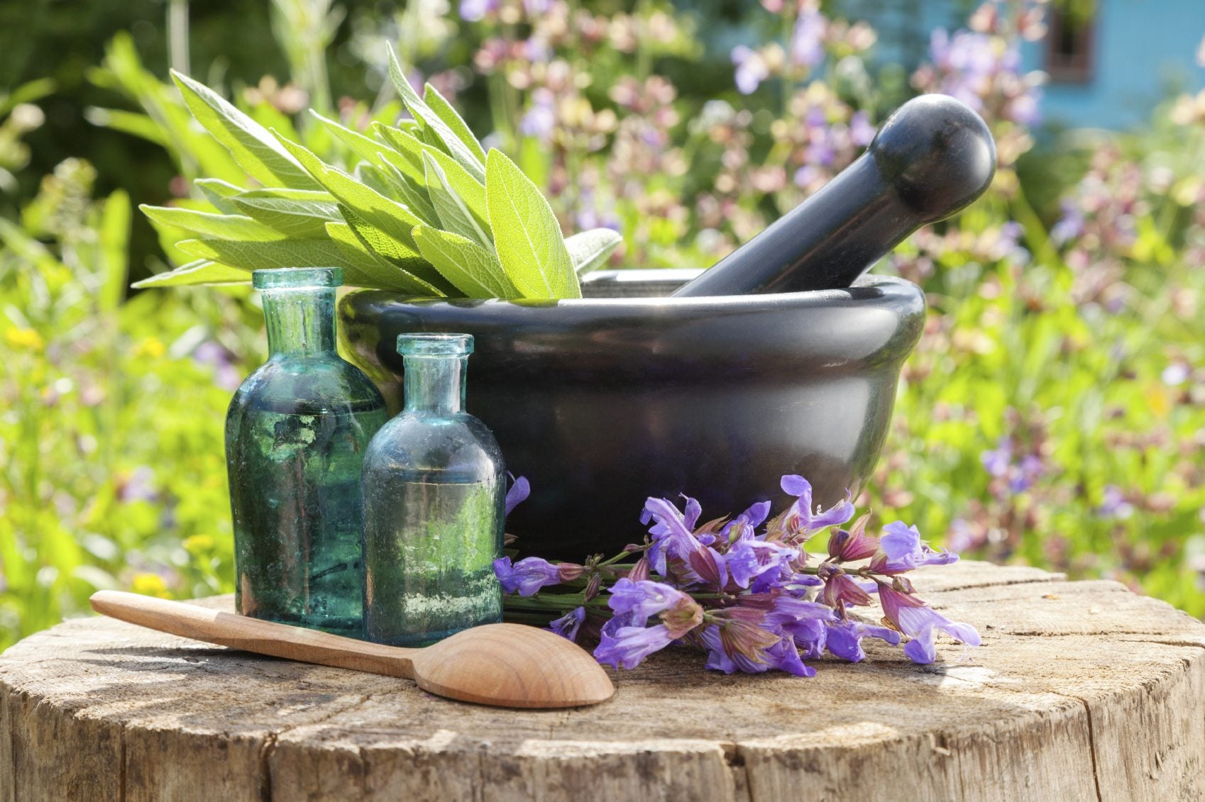 Herbal Remedies and Natural Botanical Health